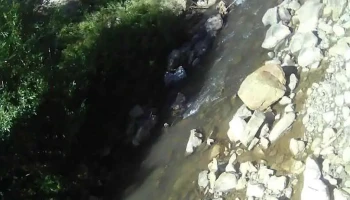Valea Ursului - Valea Ursului