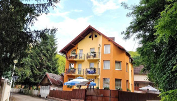 Vila Ioana - Geoagiu-Băi 335450