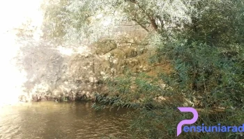 Vinerea - Vinerea