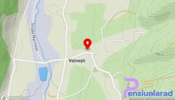 Voinești - Voinești