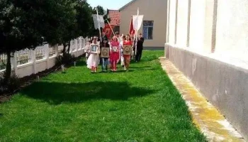 Voivozi - Voivozi