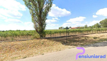 Wine Road Apartment - Gura Vadului 107300