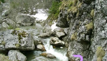 Zănoaga - Zănoaga