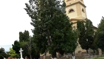 Șandra - Șandra