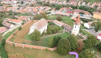 Șona - Șona