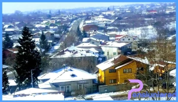 Țintea - Băicoi