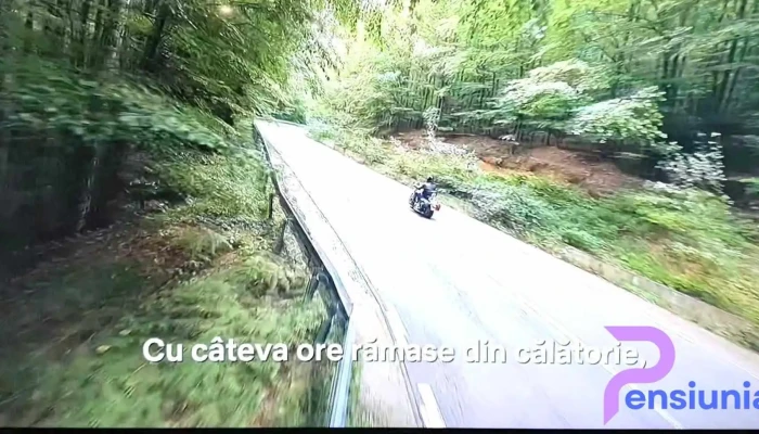 Cuina   Franzdorf Videoclipuri - Văliug