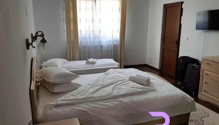 Accommodation Viseu | Vila Fan Confort Viseu - Vișeu De Sus