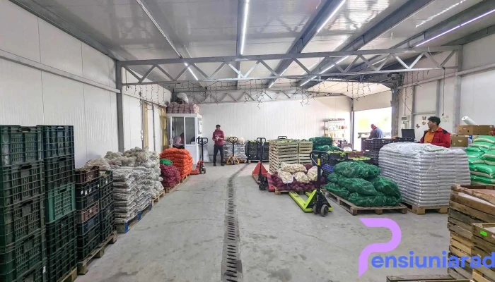Agro Transilvania -  Interior - Dezmir