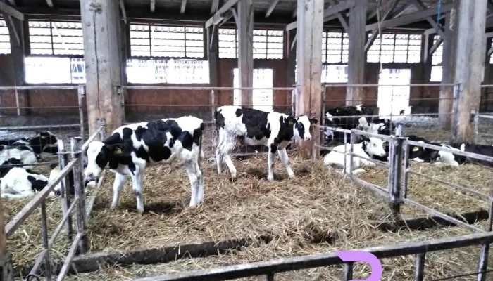 Agroserv Mariuta Srl - Drăgoeşti