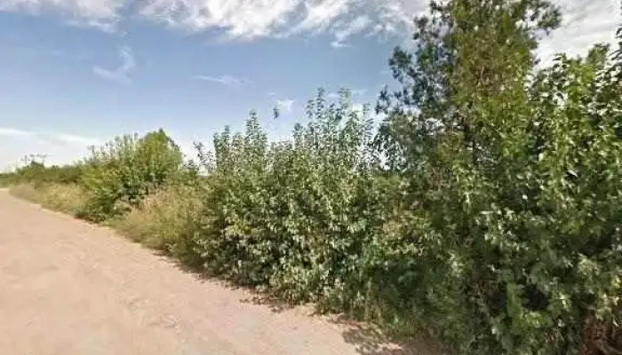 Agroserv Mariuta Srl -  Street View Si 360deg - Drăgoeşti