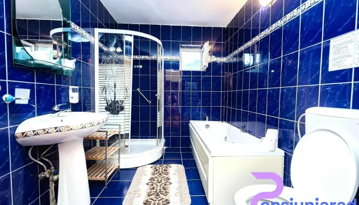 Aida Hotel Spa Tratament   Cazare Geoagiu Bai De La Proprietar - Geoagiu-băi