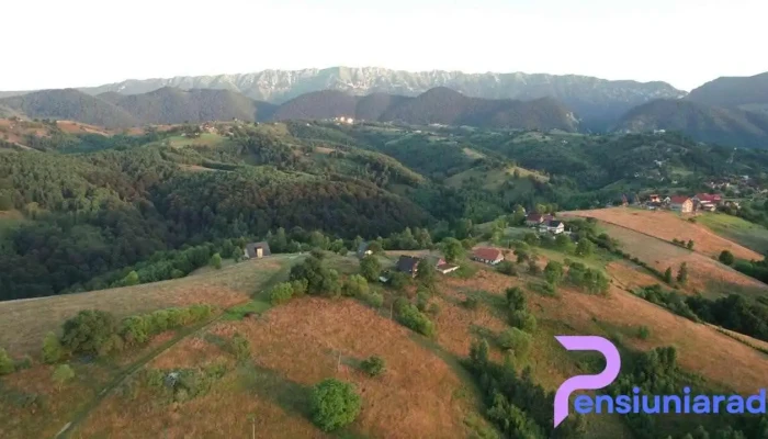 Akasha Retreat Bistro Studio Spa De La Proprietar - Peștera