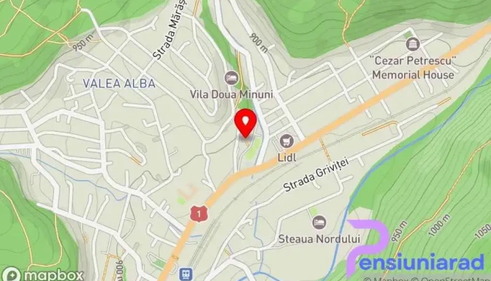 hartă a Alexandros Hotel în Bușteni
