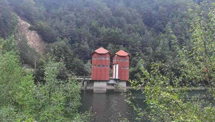 Alpina -  De La Vizitatori - Mălaia