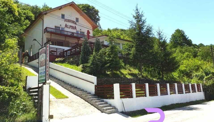 Alpina - Mălaia