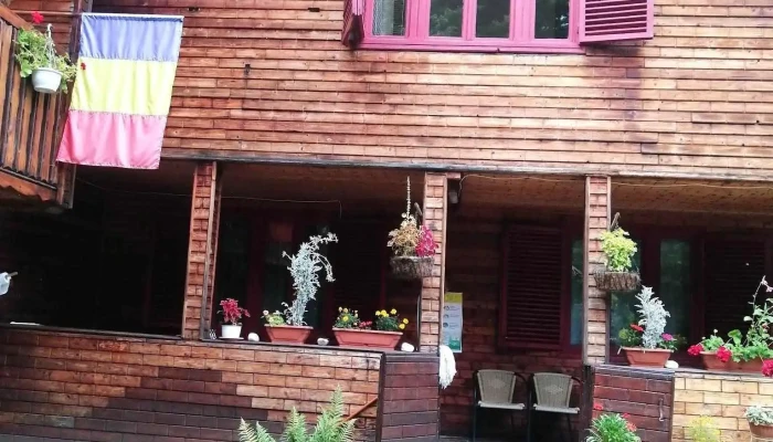Alunis Guesthouse - Sucevița 727510