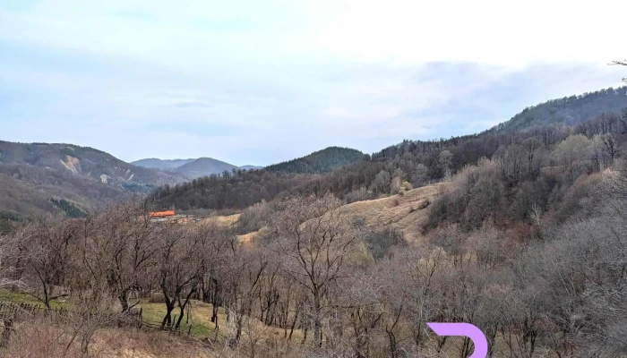 Alunis Retreat -  Cele Mai Recente - Aluniș