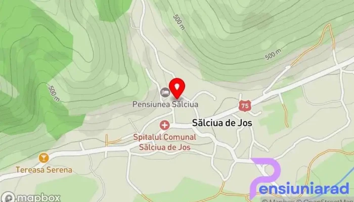 hartă a Anca Resort Pensiune în Sălciua de Jos