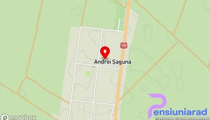 Andrei Saguna -  Hartă - Andrei Saguna