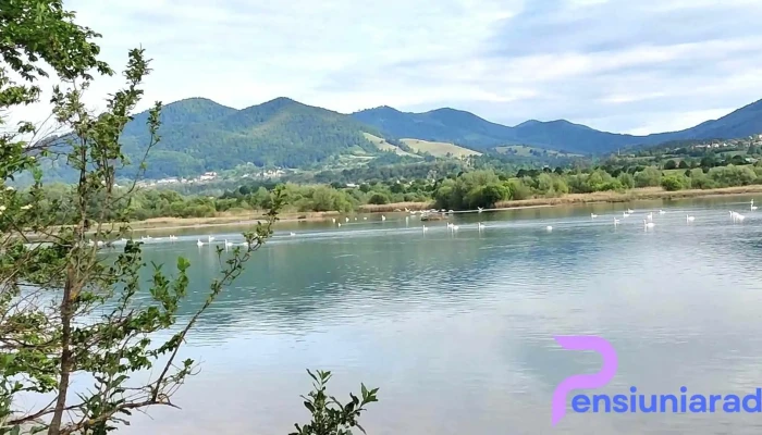 Art Of Harmony -  Videoclipuri - Piatra Neamț