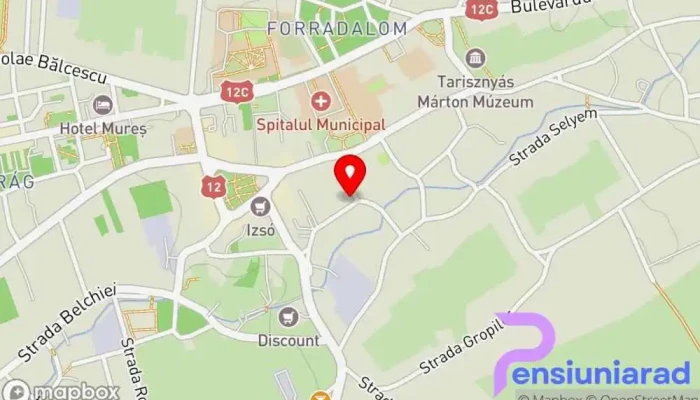 Astoria Hotelrestaurant Hartă - Gheorgheni