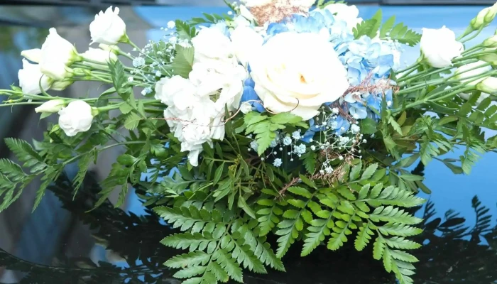 Atelierul De Flori -    Floresti Deschis Acum - Florești