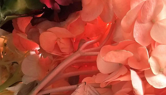 Atelierul De Flori -    Floresti Instagram - Florești
