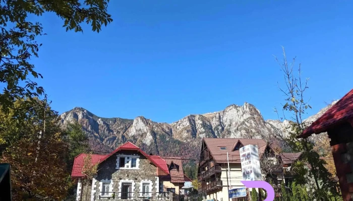 Aviator -  Exterior - Bușteni