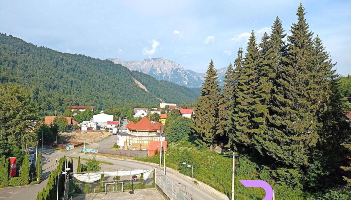 Azuga Ski Bike Resort De La Vizitatori - Azuga