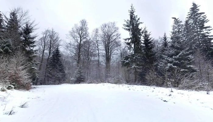 Azuga -  Street View Si 360deg - Azuga