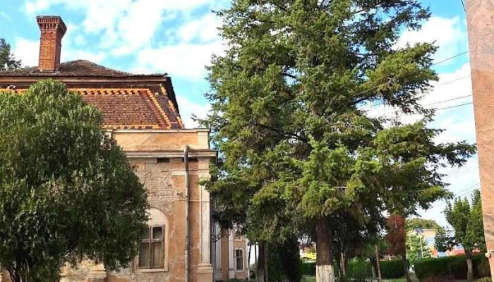 Aşezământ Cultural-Oraş Pâncota - Pâncota