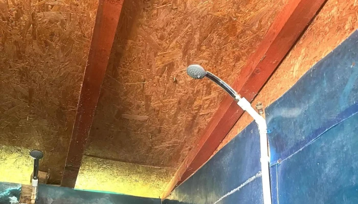 Baile Sarate Soimul Instagram - Telega