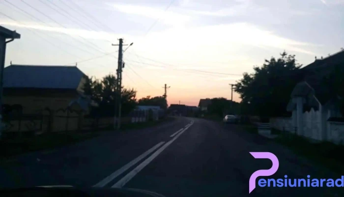 Baisesti Videoclipuri - Băișești