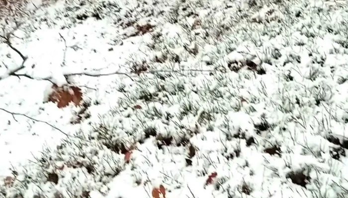 Baita Videoclipuri - Băiţa