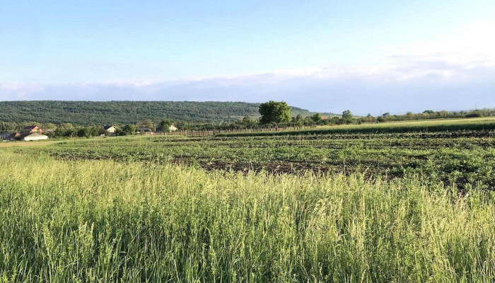 Balcesti Gorj Romania Număr - Bălceşti
