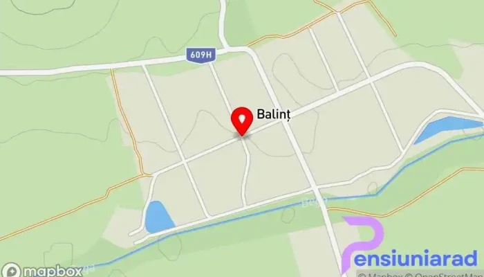 Balint Hartă - Balinț
