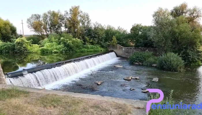 Balint Videoclipuri - Balinț
