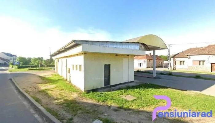 Baraju Lesu - Tinca