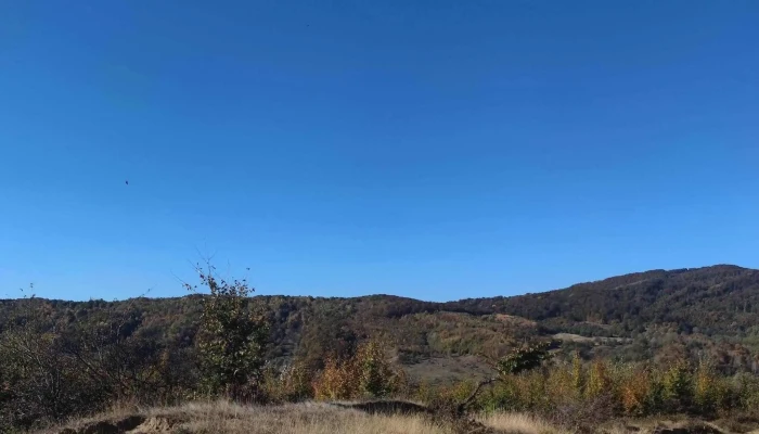 Belvedere Poiana Varbilau Deschis Acum - Vărbilău