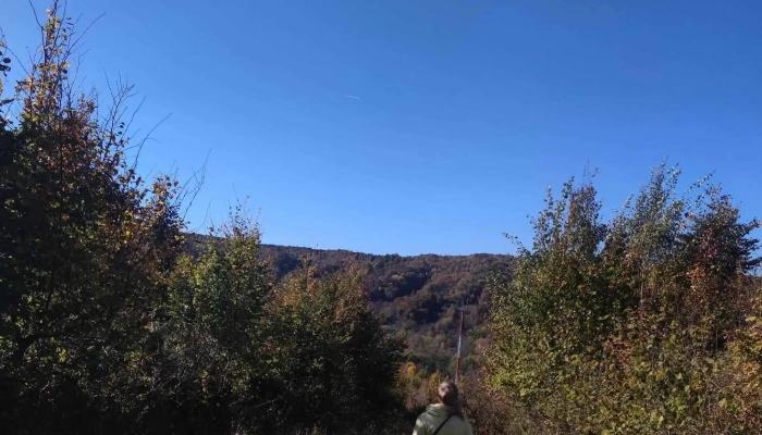 Belvedere Poiana Varbilau Instagram - Vărbilău
