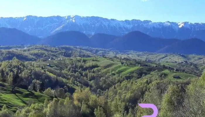 Belvedere Resort Moieciu -  De La Proprietar - Brașov