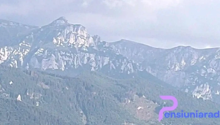 Belvedere Resort Moieciu -  Videoclipuri - Brașov
