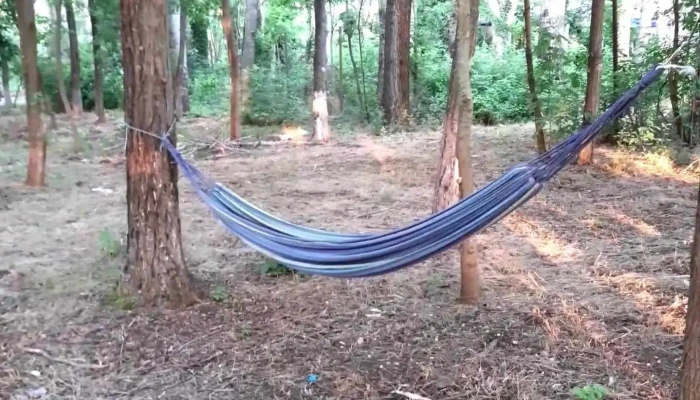 Ben Beach Dorobantu Videoclipuri - Dorobanţu