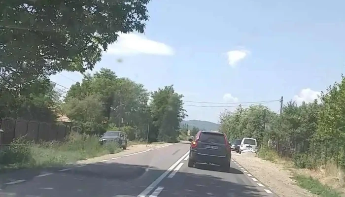 Bogdanesti Videoclipuri - Bogdănești
