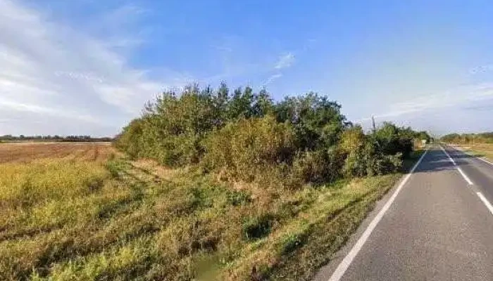 Boldur -  Reduceri - Romania
