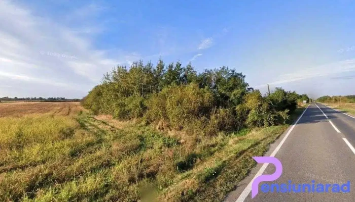 Boldur - Romania