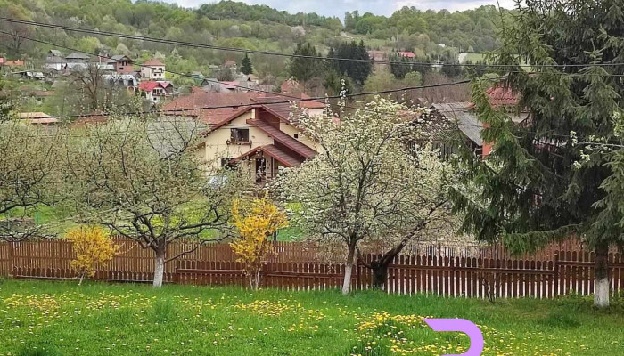 Bradulet Arges - Brăduleț