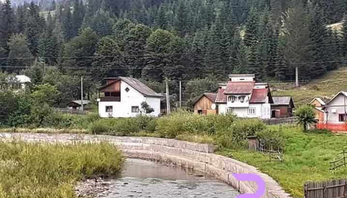 Brodina -  Fotografii - Brodina