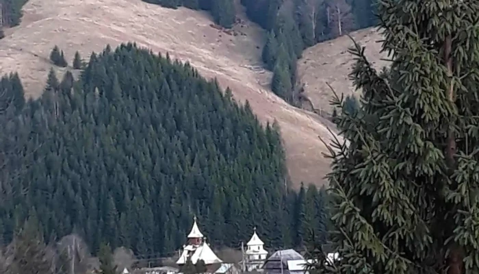 Brodina -  Promoție - Brodina